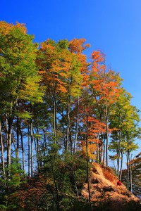 瑞士主场战胜爱尔兰，保持小组第一位置