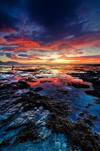 阿联酋球队在亚洲杯赛场上交出完美表现