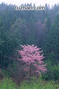 利物浦迎战热刺：双方谁能占据上风？