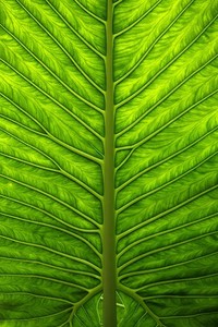 利物浦迎战热刺：双方谁能占据上风？