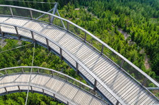 华体会体育官网-“飞盘:三叉湖赛场飞扬,速度与技巧成就精彩” 第2张