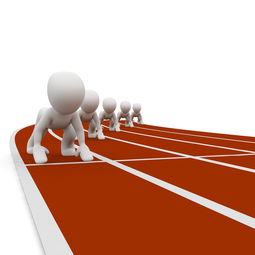 华体会官网注册-全运会筹备工作进入冲刺阶段，全运会备战方案