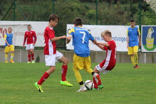 华体会平台-基层足球能否成为未来的希望，足球基层教练现状  第2张